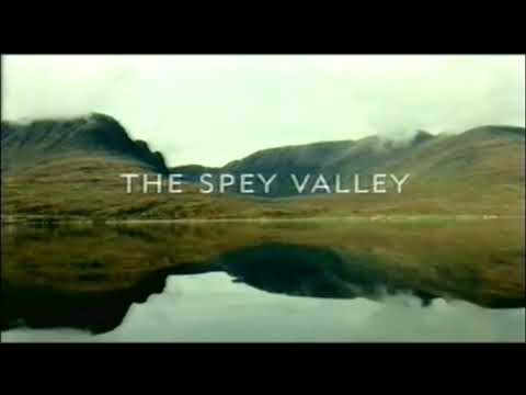 young's fish advert 2006