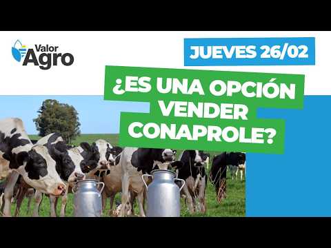 Conaprole, ganadería, expo Durazno y toda la actualidad del sector en Valor Agregado de este jueves