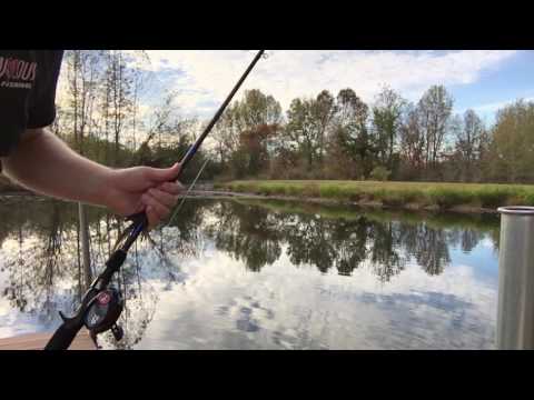 Dock Skipping Techniques: 5 Expert Tips for Flawless Casting Success | Ultimate Guide for Anglers