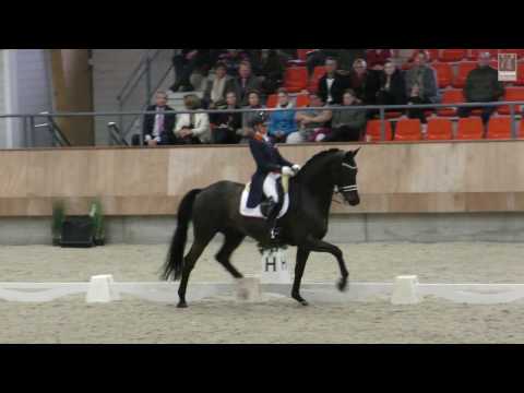 Maxime van der Vlist & Bailey NK Ermelo U25 overall Zilveren plak