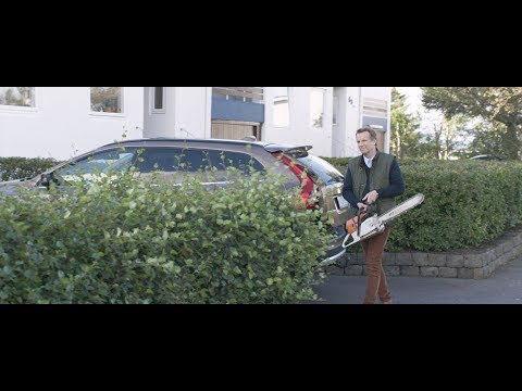 Under The Tree - Trailer