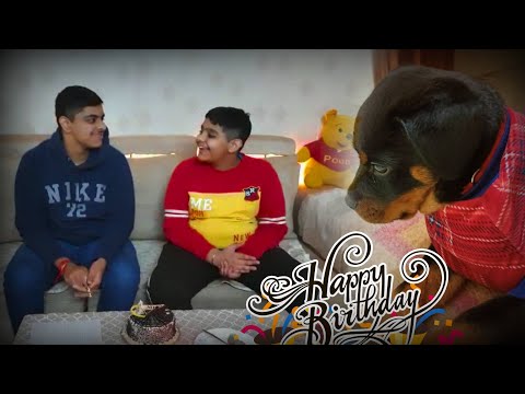 Shubh's Birthday | New Member in the house | Rott weiller | Yashree