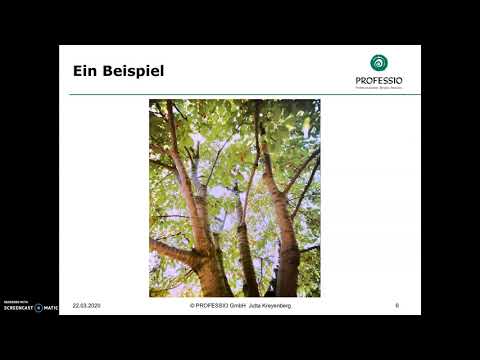 ZRM an einem Beispiel