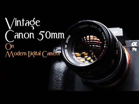 Canon 50mm f1.4 + Sony A7 II: The Perfect Vintage Combo in 2023?