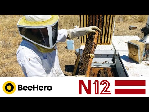 BeeHero on Israel's Channel 12 logo