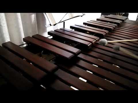 Inni di lode N°231: Il Salvator per me morì Marimba Cover