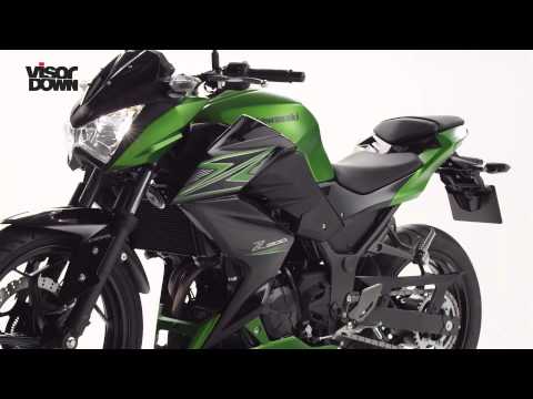 Kawasaki Z300 review | Road test