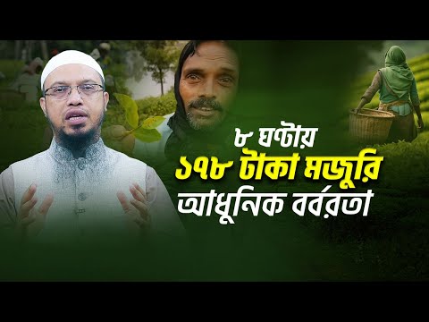 চা শ্রমিকদের ৮ ঘণ্টায় ১৭৮ টাকা মজুরি আধুনিক বর্বরতা | Shaikh Ahmadullah