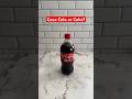 REAL OR CAKE Did You Guess Correctly What Realistic Cake Should I Make Next