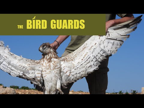 Die ´Bird Guards´ - Im Einsatz gegen die Vogel-Wilderei im Libanon - Komitee gegen den Vogelmord