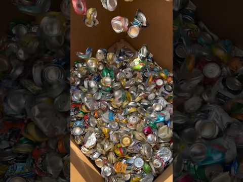 Is recycling aluminum cans worth it? ♻️💰 Find out how much money we made #Recycling #HowToMakeMoney