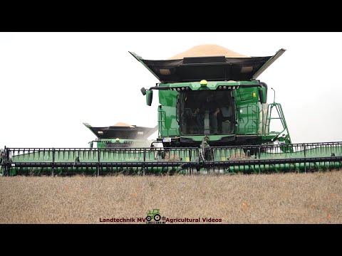 John Deere - Güstrower - MF / Getreideernte - Grain Harvest  2023  pt.1