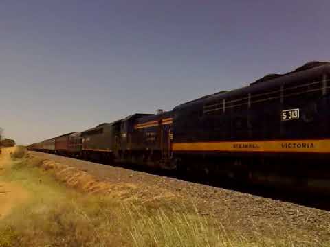 Dusty Gunzelling around Victoria