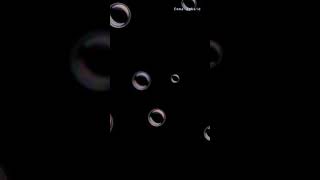 Sinking Sun by Mt Warning//Emma Jokaid