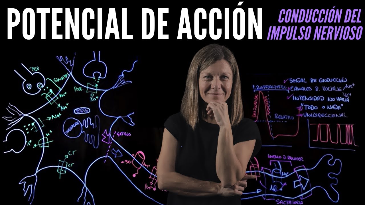 Potencial de Acción
