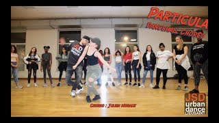 Major Lazer DJ Maphorisa - Particula Dancehall Dance @Julien Moraux // JSD Urban Dance