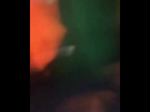 Tisco - Freestyle (feat. Yoro Ms13) [EXCLU]