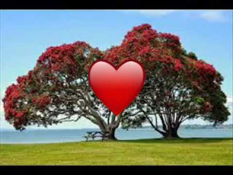 Bom Dia Meu Irmão video