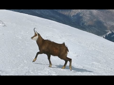 Winter hike in Tatry moutains - Czerwone Wierchy Part 1  🇵🇱