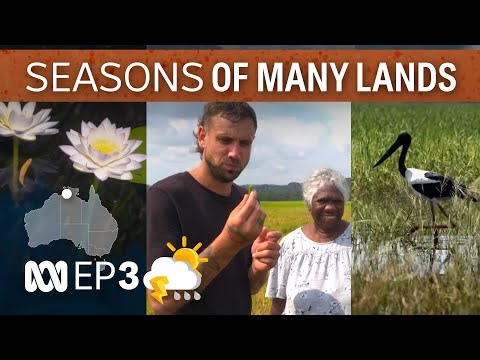 Gunbalanya [-O-] | Many Lands - Many Seasons | EP 3 | ABC Australia
