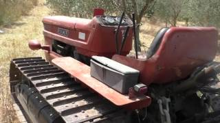 cadavere-ritrovato-in-un-fondo-ad-un-dirupo