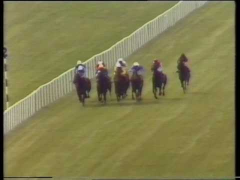 1984 Airlie/Coolmore Irish 2000 Guineas