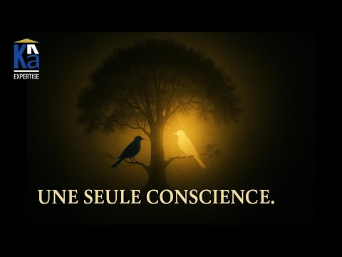 Soi / Moi : la séparation qui n’a jamais existé