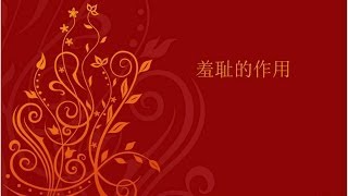 羞耻篇 2/4 - 羞耻的作用