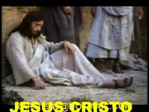 Carvalhos de Justiça - Josué Rodrigues