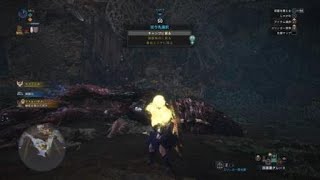ハザクには氷が効くってマ！？