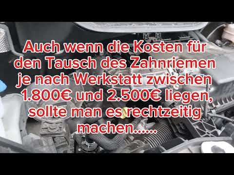 Timing belt in oil. #ecoblue #fordtransit #motorhome #timingbelt #wetbel #service #oil #timingbelt