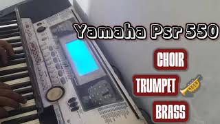 Video thumbnail for Yamaha Psr 550 Factory Sound Test|Hindi Tutorial Par 550 by A Music Makers