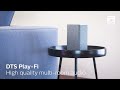 Philips Smart Speaker TAW6205/10 Silber