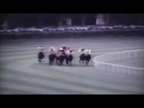 Nagroda Soliny - 13.06.1992 - Kalifornia (Lord Hippo - Kosmitka)