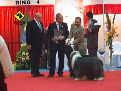 FCA Copa Confraternidad  Julio 2010 - Final Adultos