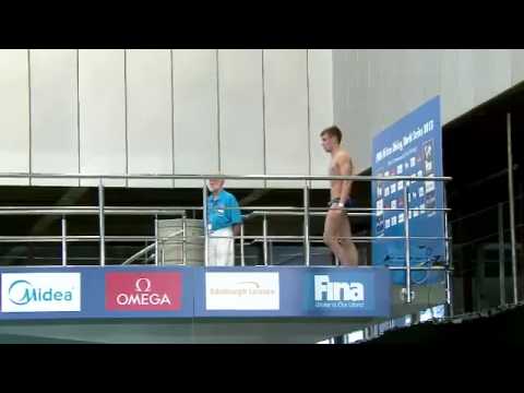 2013 Viktor Minibaev RUS - 109c - 9s - Platform - Europe Champ