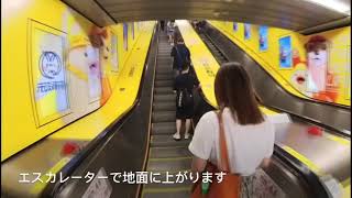 【行き方】シャマ・チムサーチョイ   How to get to Shama Tsim Sha Tsui 怎样去莎瑪尖沙咀／香港サービスアパートメント