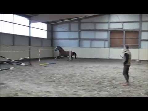 Numero Uno - Couleur Rubin