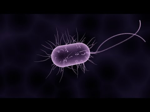 Wie das Leben auf der Erde entstand Doku  ►►Universum Weltall HD NEU 2018◄◄