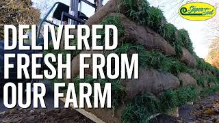 Super Sod Introduction