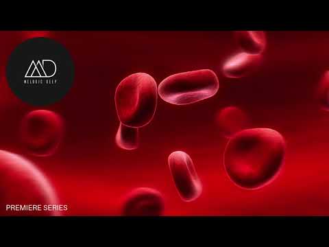 PREMIERE: Djuma Soundsystem - Soma (Armonica Remix) [Get Physical]