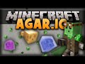 Minecraft: AGARIO (Agar.io) - Slime Blobs ...