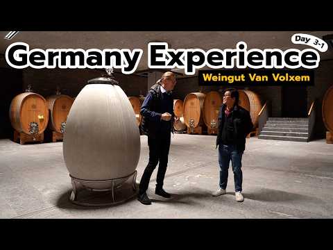 Germany Experience Day 3-1, Weingut Van Volxem | Trip to Germany 2024