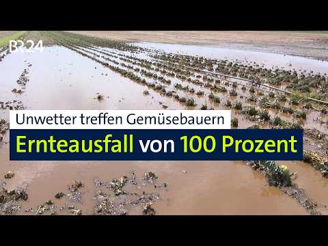 Unwetter treffen Gemüsebauern: Ernteausfall von 100 Prozent | BR24