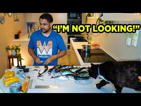 Nick Pretends Not to Look at the Cat