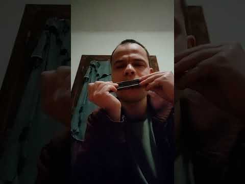 Korizma - Počinje se slavna Muka (cover)