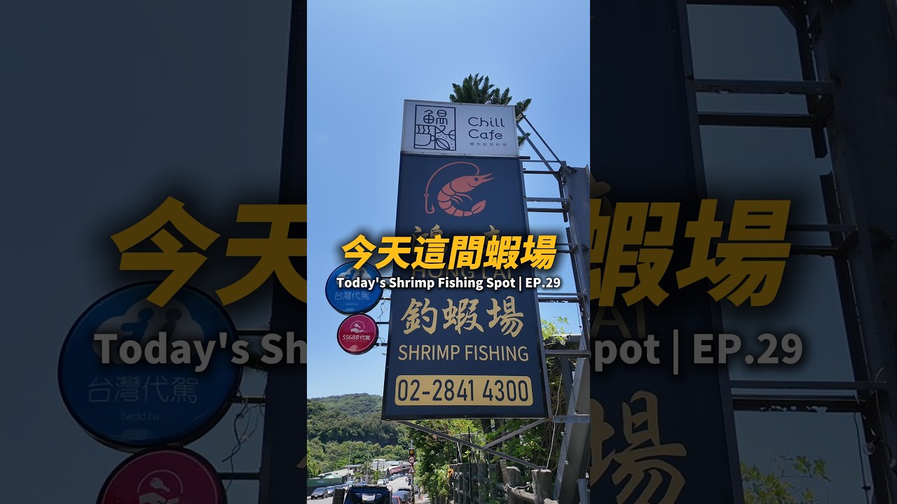 今天這間蝦場EP.29【MLS蝦戰天下】#17shrimp #台湾のエビ釣り #shrimpfishing #새우낚시