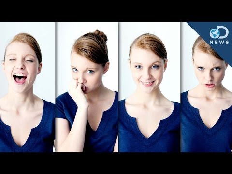 我們只有四個面部表情！ (We Only Have Four Facial Expressions!)