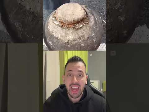 Κρασί 100 χρόνων!🍷 #shorts