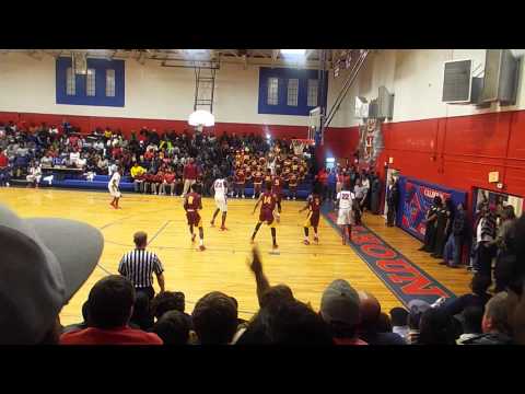 calhoun county cougar